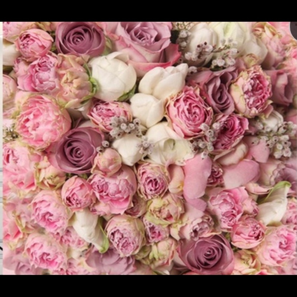 Meet your Posher, Timeless4u